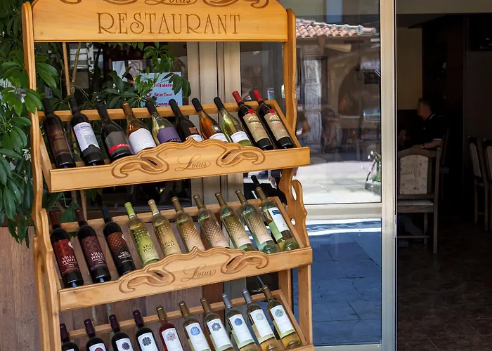 Otel Lotus Family - Free Parking 3*